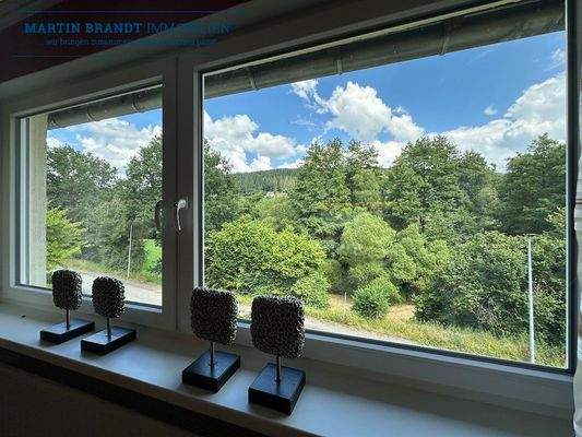 Blick aus dem Wohnzimmer OG