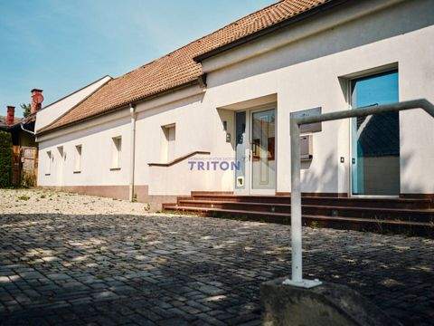 Wöllersdorf-Steinabrückl Häuser, Wöllersdorf-Steinabrückl Haus kaufen