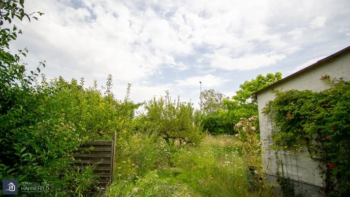 Teilansicht Grundstück