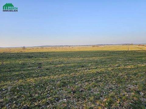 Windbergen Bauernhöfe, Landwirtschaft, Windbergen Forstwirtschaft