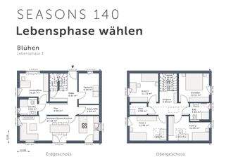 Phase Blühen