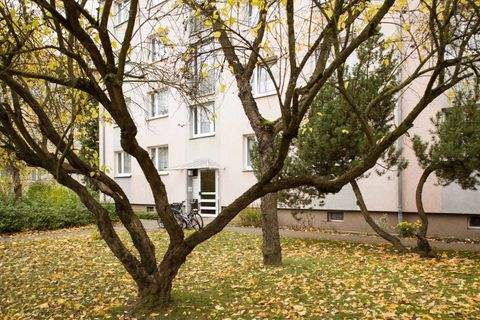 Neubrandenburg Wohnungen, Neubrandenburg Wohnung mieten