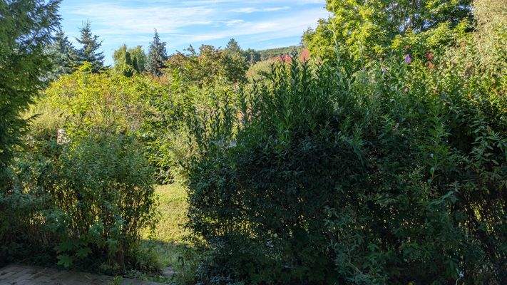 Blick von der Terrasse