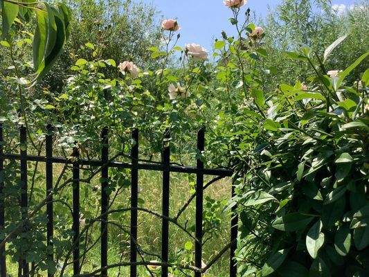 Der hochwertige Zaun als Gestaltungselement