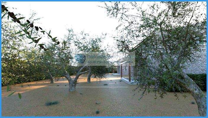 50228d1e75c74915b71248ff31d3d067-original