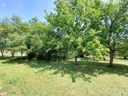 Mediterran bepflanzter Garten