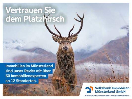 Platzhirsch | Werbung