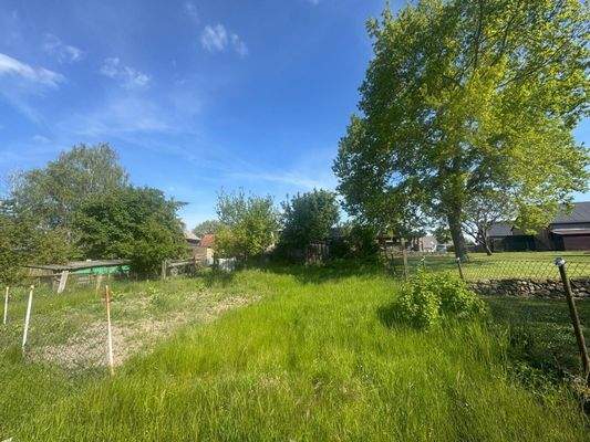 WhatsApp Image 2025-08-03 at 22.58.29 (2)