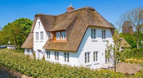 Nieblum Häuser, Nieblum Haus kaufen