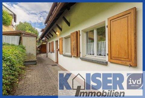 Waldshut-Tiengen Häuser, Waldshut-Tiengen Haus kaufen