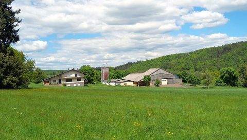 Veitsrodt Bauernhöfe, Landwirtschaft, Veitsrodt Forstwirtschaft