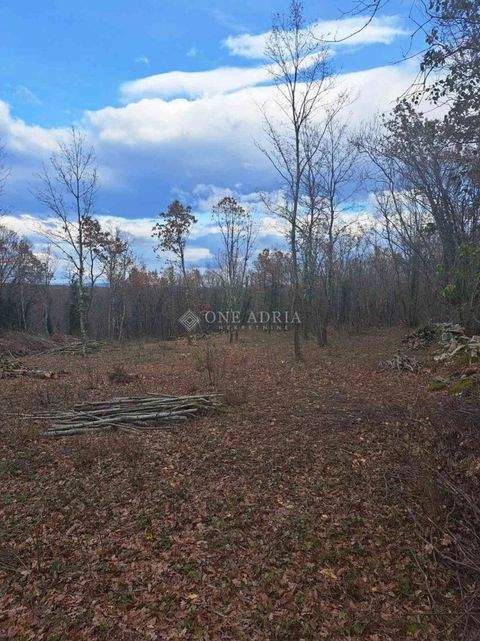 Tinjan Grundstücke, Tinjan Grundstück kaufen