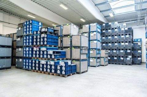 Frankfurt Halle, Frankfurt Hallenfläche