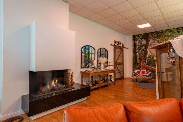 hochwertiger Gaskamin EG