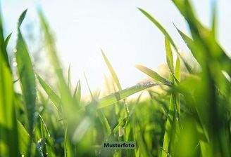 Keine Originalbilder