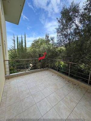 WhatsApp Image 2025-05-11 at 10.24.30-17.jpeg