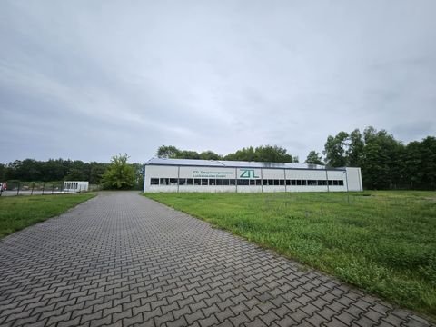 Luckenwalde Halle, Luckenwalde Hallenfläche