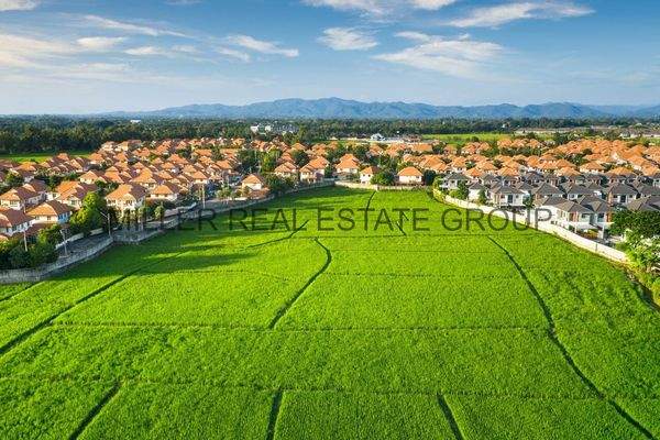 MILLER REAL ESTATE GROUP