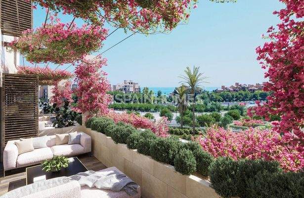 Spacious Apartments Near the Beach in Estepona