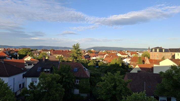 Ausblick_Richtung_Heidelberg.jpg