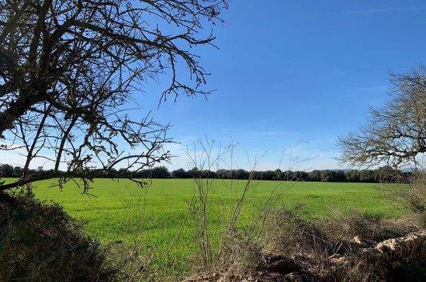 7284_02_Campos_Grundstück