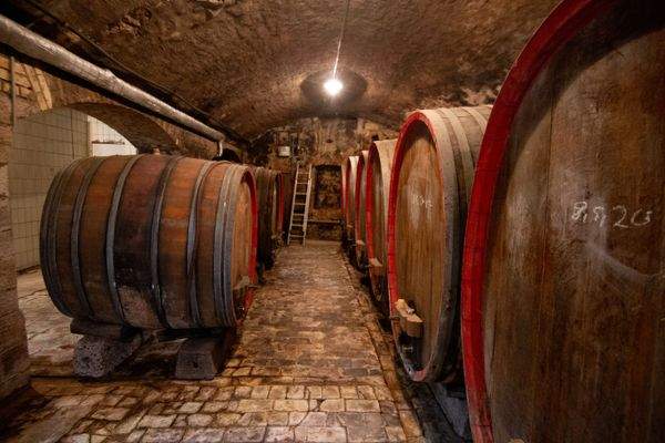 Villa Gewölbekeller