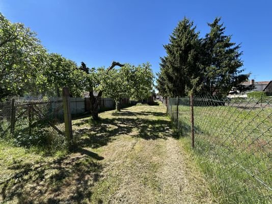 Blick vom Garten