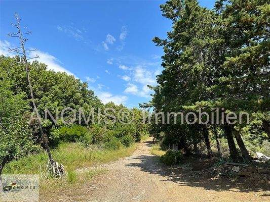 Einfahrt zum Grundstück