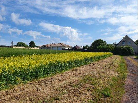 Blick vom Grundstucksende in Richtung Straße.JPG