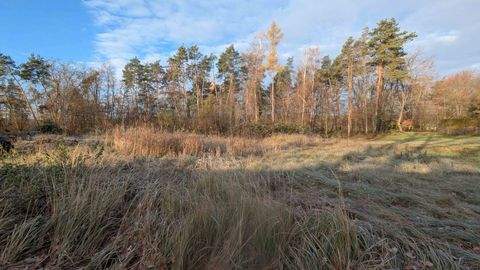 Erlangen Grundstücke, Erlangen Grundstück kaufen