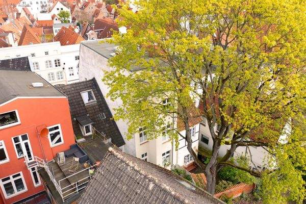 Rückwärtige Ansicht