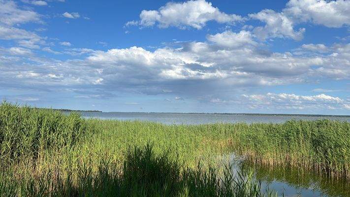 Bodden Born a.d.Darß