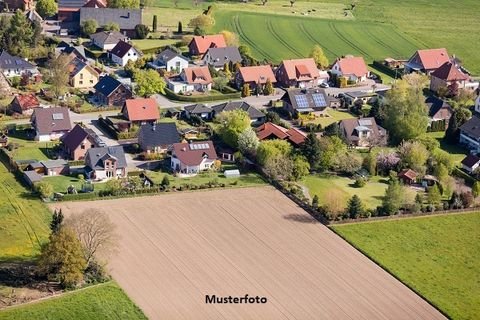 Muldestausee Bauernhöfe, Landwirtschaft, Muldestausee Forstwirtschaft