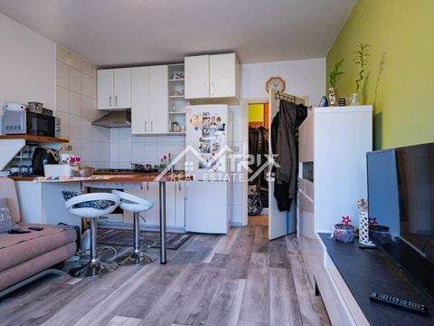 Centar Wohnungen, Centar Wohnung kaufen