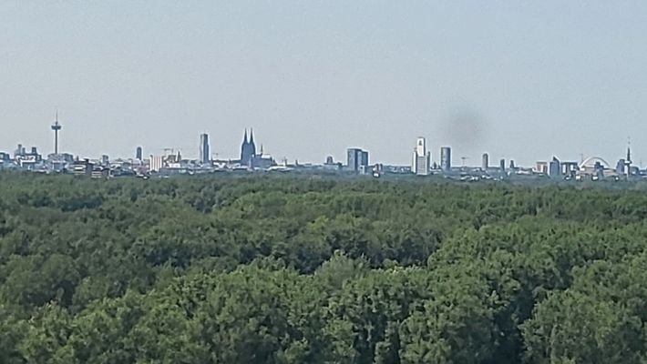 Blick auf den DOM