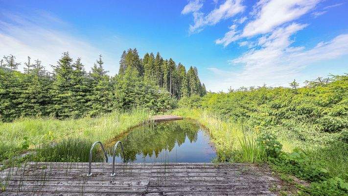 KITZIMMO-Grundstück mit Altbestand in sonniger Ruhelage kaufen - Immobilien Kirchberg.