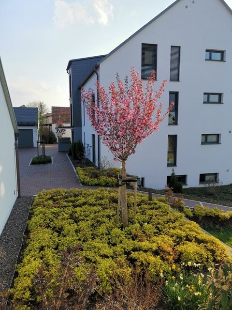 Mörsdorf Wohnungen, Mörsdorf Wohnung mieten