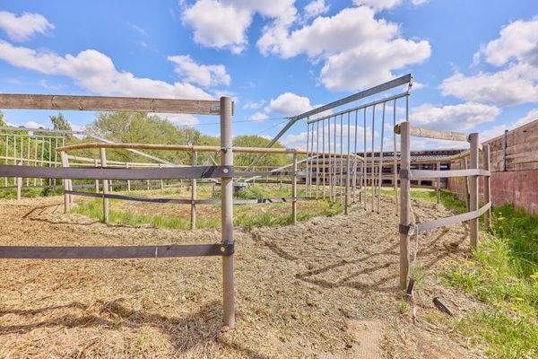 14 Führmaschine.jpg