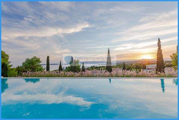 bf24402c04e4431984b660648e3c5317-original