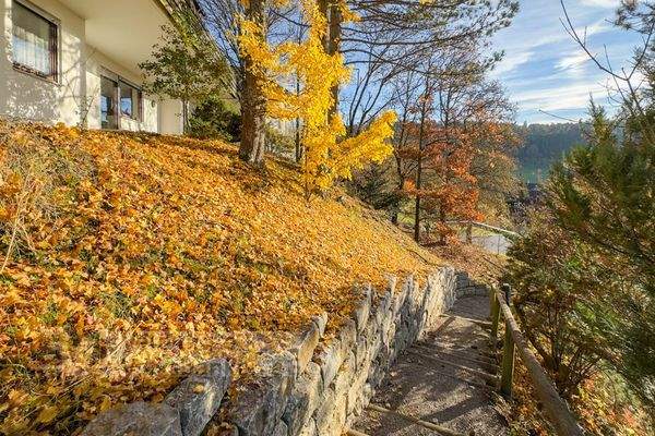 Aufgang zum Haus Bild 2