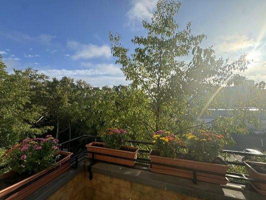 Picture from similar apartment