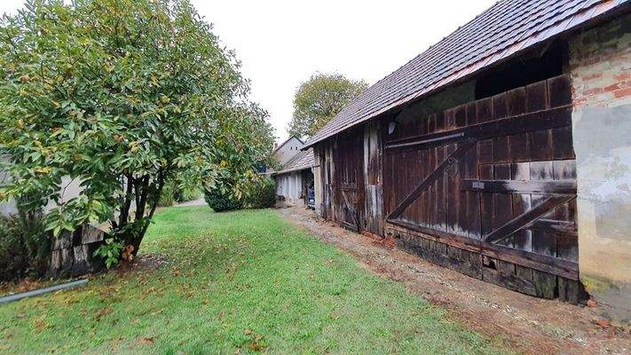 244406462_1141628746629410_4815361787964066448_n.j