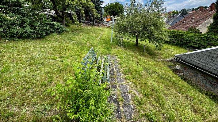Blick in den Garten