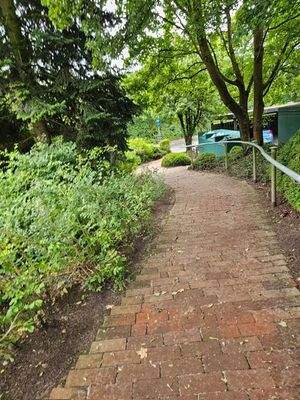 Grüner Fußweg zur Wohnung