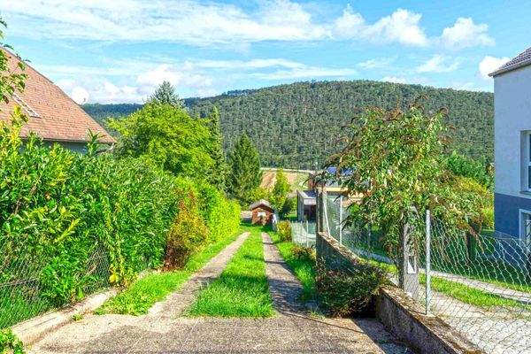 Fahnengrundstück_Zufahrt