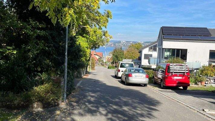 Blick von der Straße in Richtung See