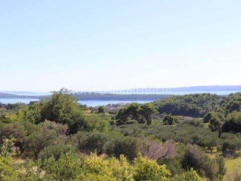 Rab Bauernhöfe, Landwirtschaft, Rab Forstwirtschaft