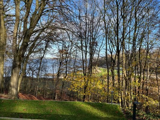 Blick von der Terrasse