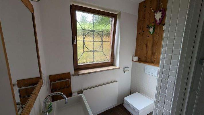 Gäste-WC mit Dusche EG