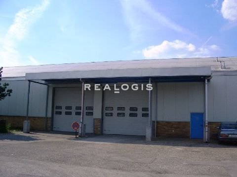 Langenselbold Halle, Langenselbold Hallenfläche